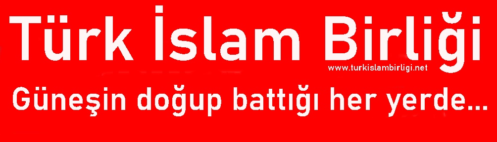 Türk İslam Birliği